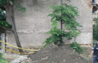  / Новини от Казанлък