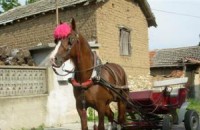 Дете пострада при катастрофа заради кон в Манолово / Новини от Казанлък