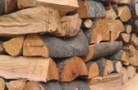 Откриха незаконни дърва в Юлиево  / Новини от Казанлък