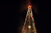 Заповядайте да запалим светлините на Коледната елха заедно / Новини от Казанлък
