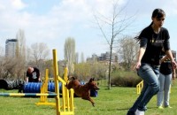  / Новини от Казанлък