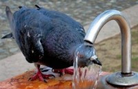  / Новини от Казанлък