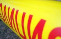  Откриха дърва за огрев без маркировка и заловиха крадци на бали сено / Новини от Казанлък