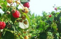  / Новини от Казанлък