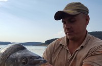  / Новини от Казанлък