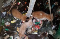  / Новини от Казанлък