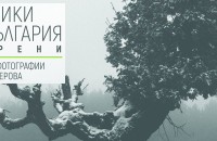 Фотоизложба посветена на България ще бъде представена в Казанлък / Новини от Казанлък