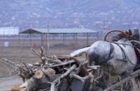  / Новини от Казанлък