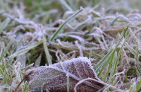  / Новини от Казанлък