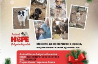  / Новини от Казанлък