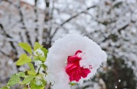 -10.8 тази сутрин в Казанлък / Новини от Казанлък