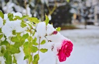 Днес е вторият най-студен ден за 2017 година в Казанлък с -11,6 °С  / Новини от Казанлък