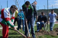 Борис Кърчев и спортистите на Казанлък посадиха Гора на спорта / Новини от Казанлък