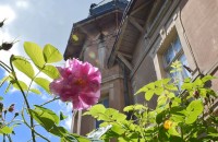  / Новини от Казанлък