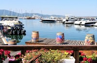 Казанлъшки млади художници превърнаха бъчви в картини край яхтите на Созопол / Новини от Казанлък