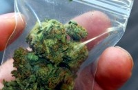  / Новини от Казанлък