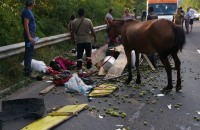  / Новини от Казанлък