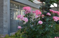  / Новини от Казанлък