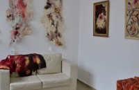  / Новини от Казанлък