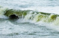  / Новини от Казанлък