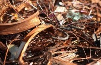  / Новини от Казанлък