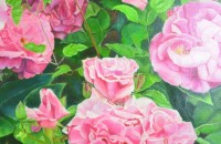  / Новини от Казанлък