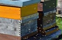  / Новини от Казанлък