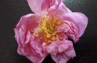 Много настроение и красота от Улицата на занаятите за празника / Новини от Казанлък