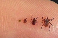  / Новини от Казанлък