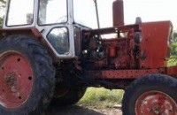  / Новини от Казанлък