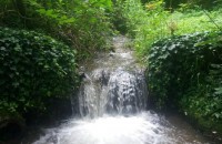  / Новини от Казанлък