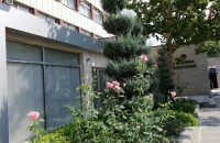  / Новини от Казанлък