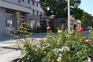  / Новини от Казанлък