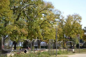 Начало на фотоконкурса „Есенни мигове в Казанлък“ / Новини от Казанлък