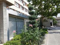  / Новини от Казанлък