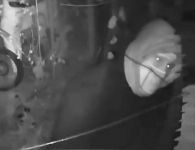 Видео от кражбата на мотори в Манолово / Новини от Казанлък