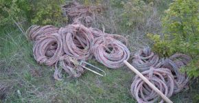  / Новини от Казанлък