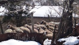  / Новини от Казанлък