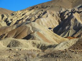 Представят сбъднатата аризонска мечта на фамилия Коеви в Музея на фотографията  / Новини от Казанлък