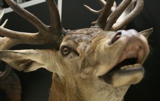  / Новини от Казанлък