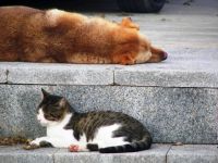  / Новини от Казанлък