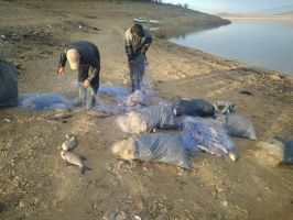  / Новини от Казанлък