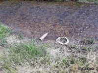  / Новини от Казанлък