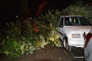  / Новини от Казанлък