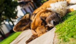  / Новини от Казанлък