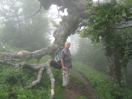  / Новини от Казанлък