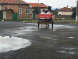 БСП Казанлък: Кой е регистрирал каруцата–убиец без светлоотразители в община Казанлък? / Новини от Казанлък