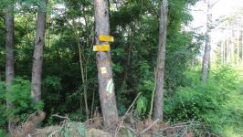  / Новини от Казанлък