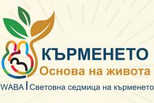 Настоящи и бъдещи родители ще се включат в световната седмица на кърменето в Казанлък / Новини от Казанлък