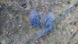  / Новини от Казанлък